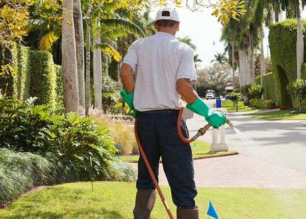 About Oakville CT Pest Control